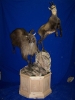 1241_-_small_tahr_and_chamois