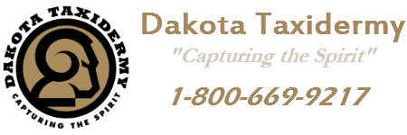 Dakota Taxidermy